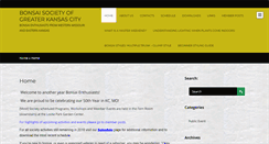 Desktop Screenshot of bsgkc.org